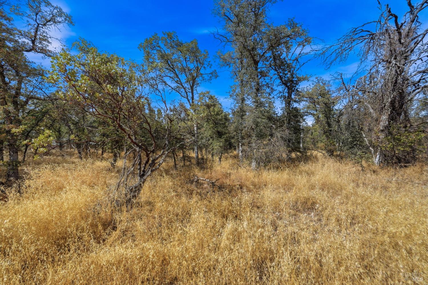 0 Tbd Richard Drive Cottonwood CA 96022
