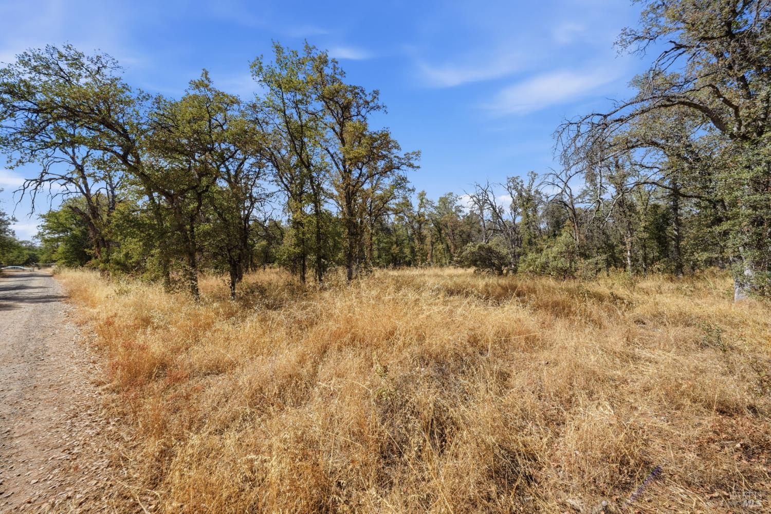 0 Tbd Richard Drive Cottonwood CA 96022