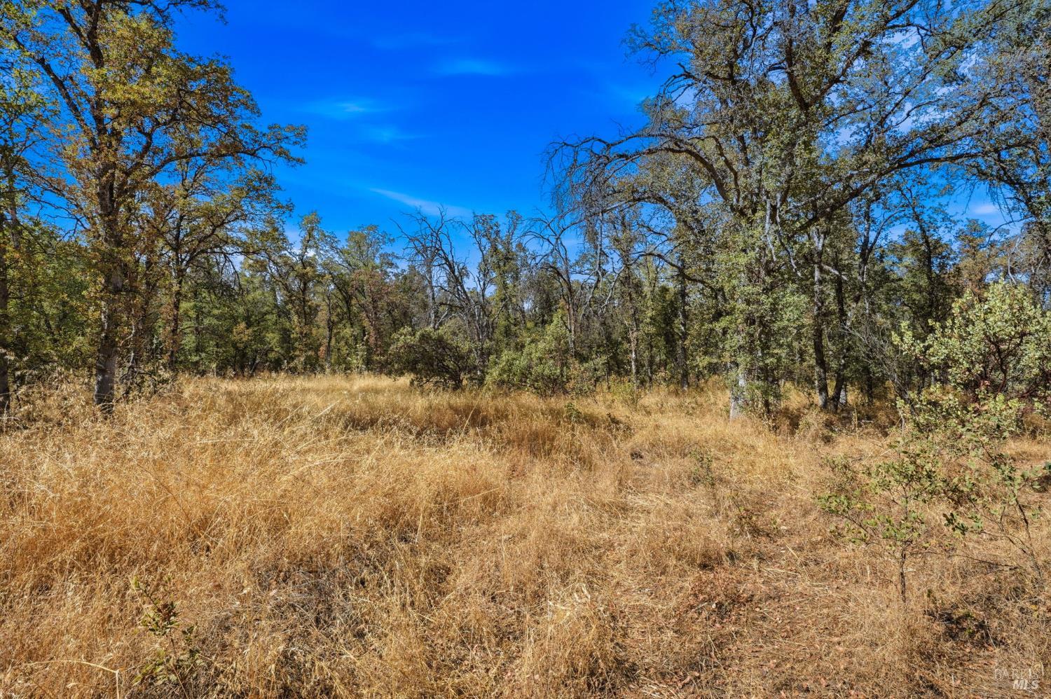 0 Tbd Richard Drive Cottonwood CA 96022