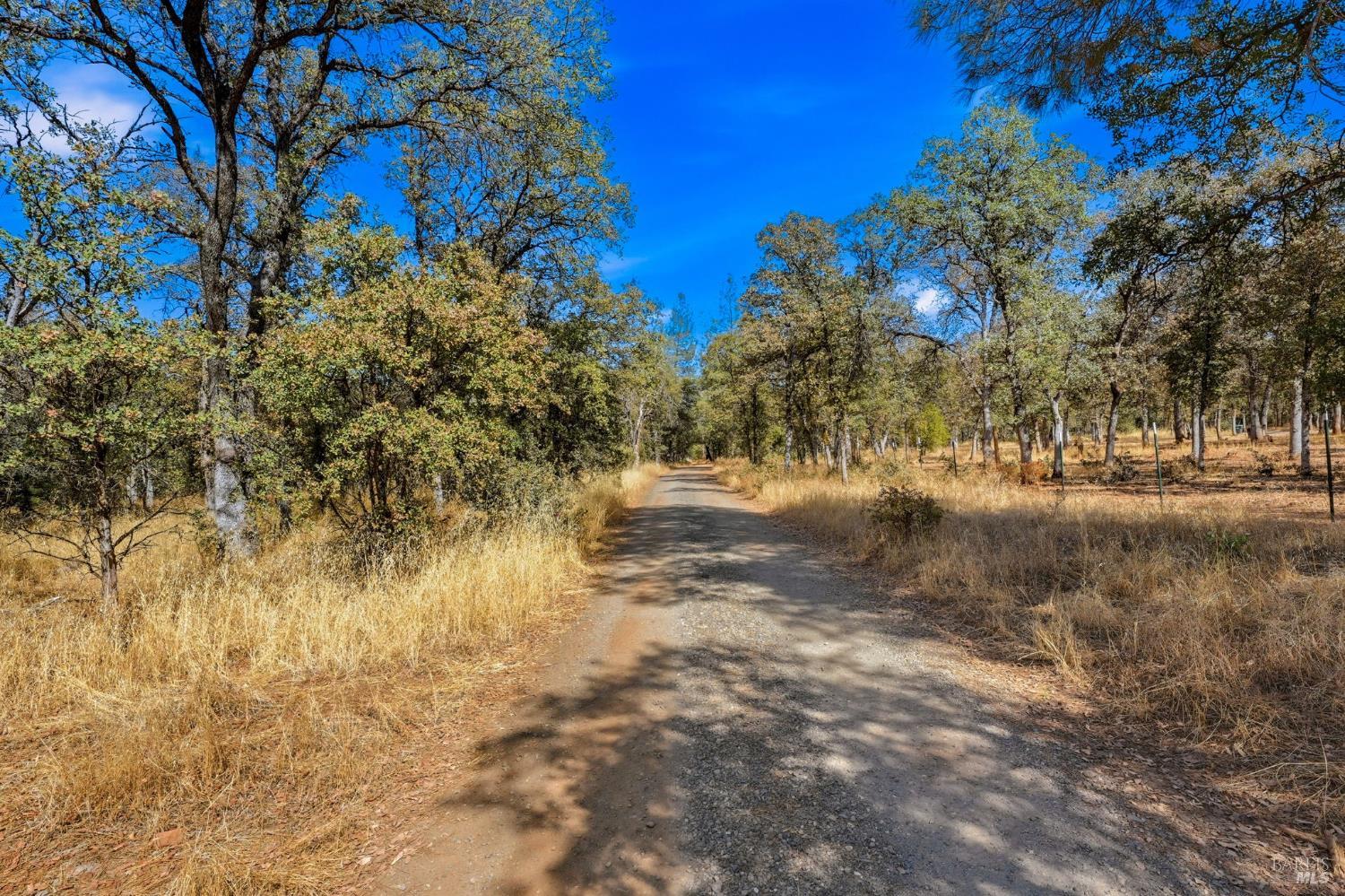 0 Tbd Richard Drive Cottonwood CA 96022