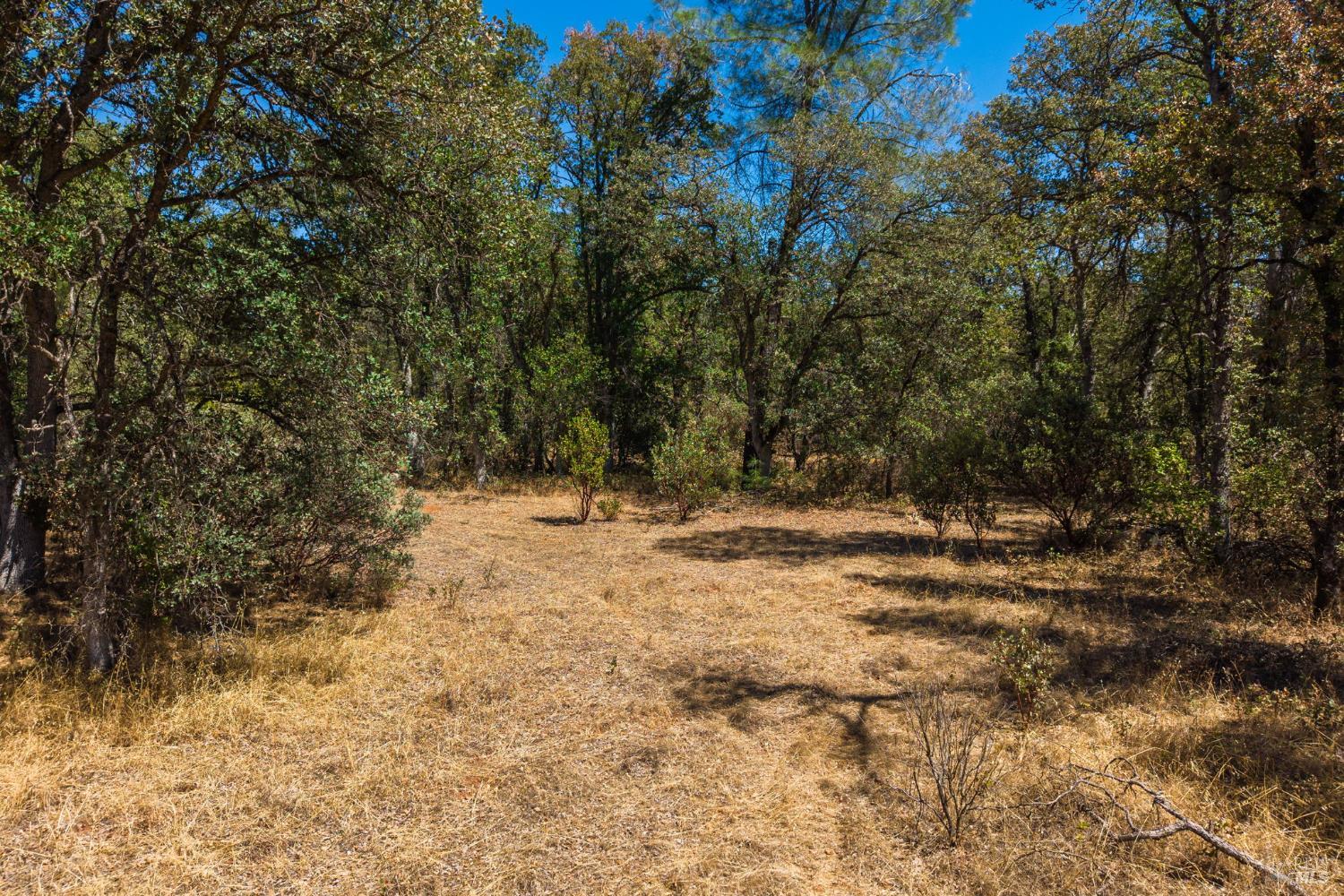 0 Tbd Richard Drive Cottonwood CA 96022