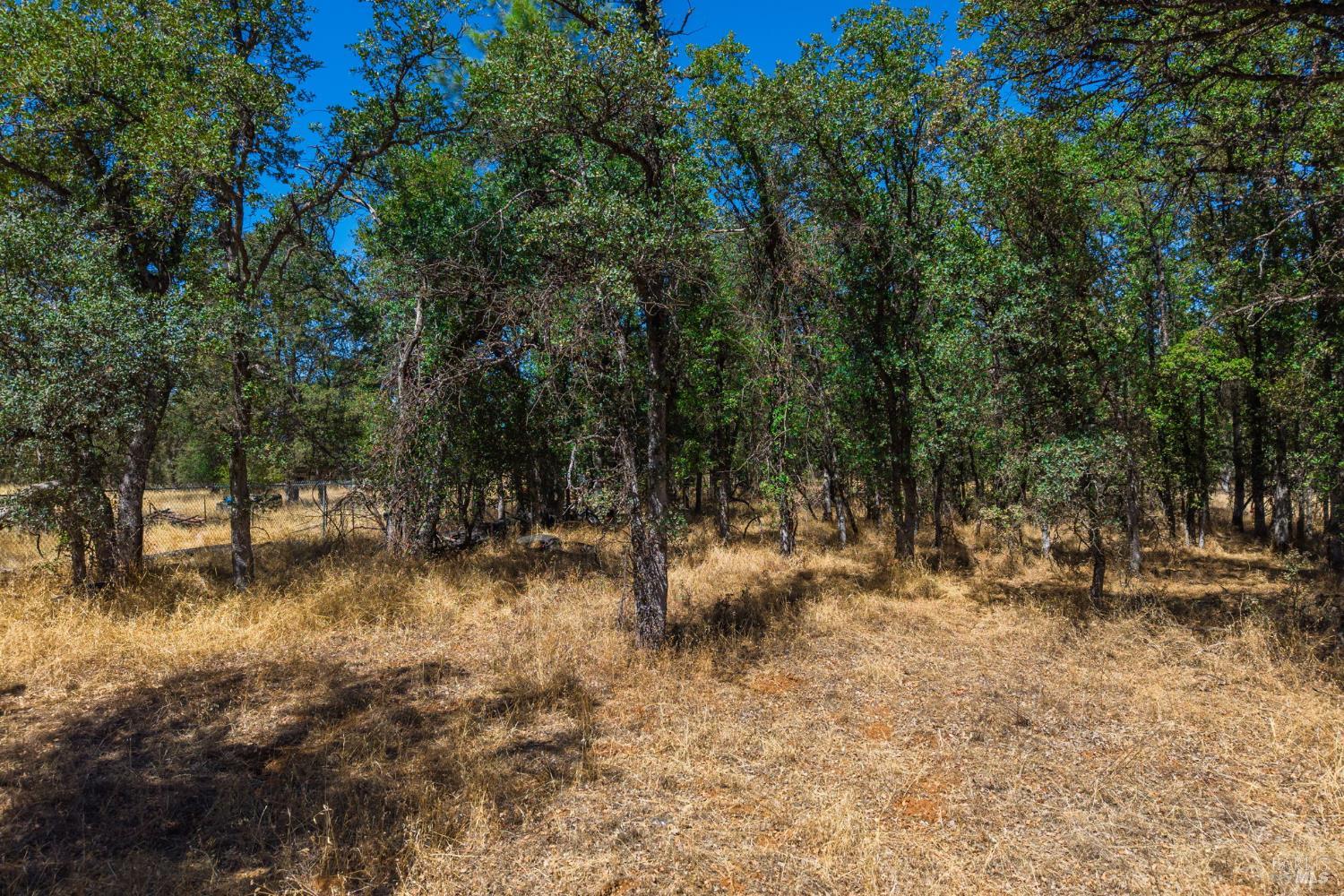 0 Tbd Richard Drive Cottonwood CA 96022