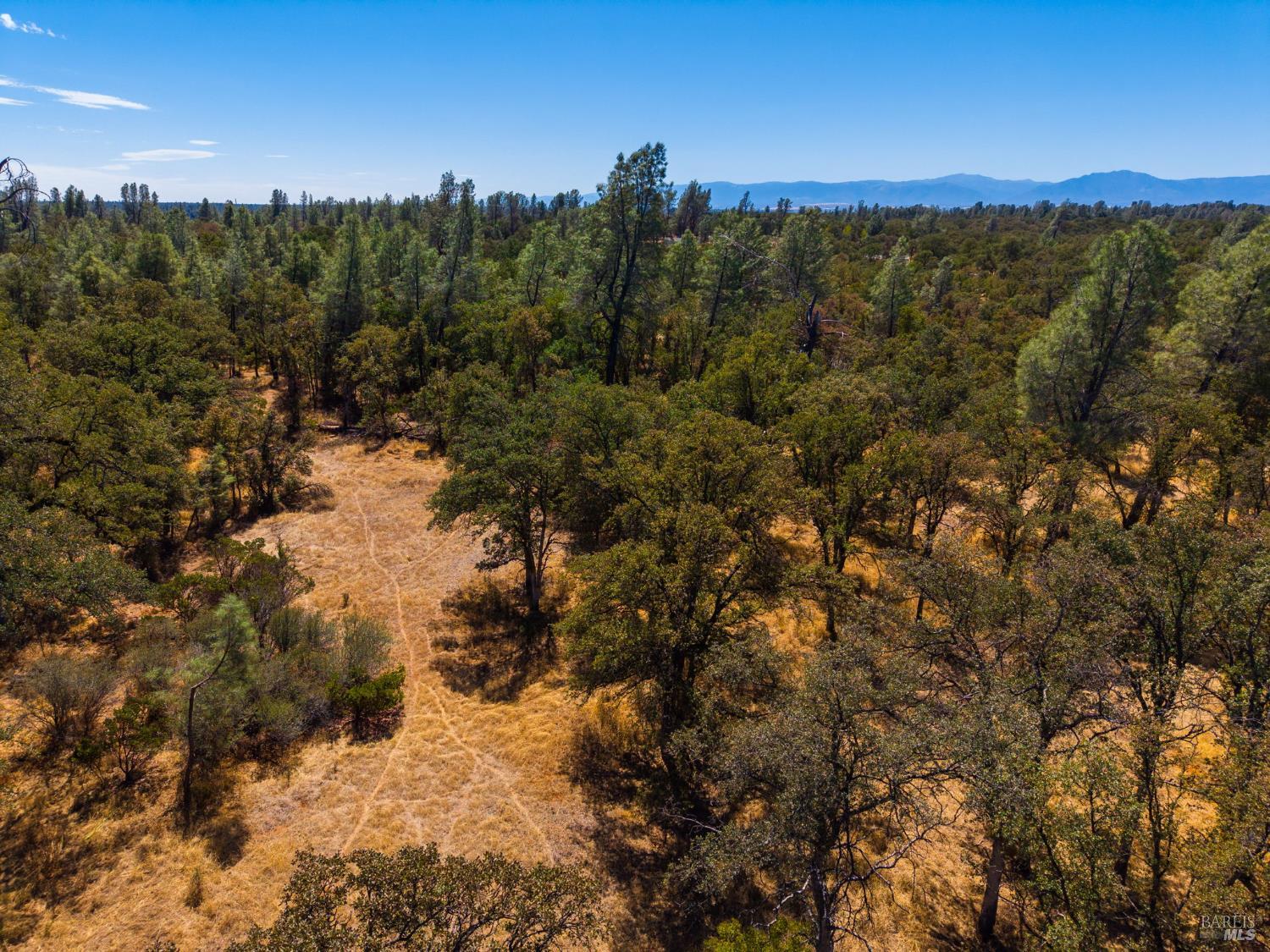 0 Tbd Richard Drive Cottonwood CA 96022