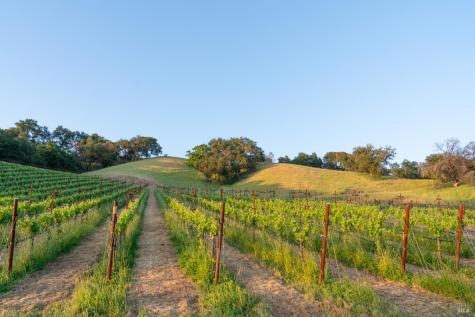 21350 River Road Geyserville CA 95441