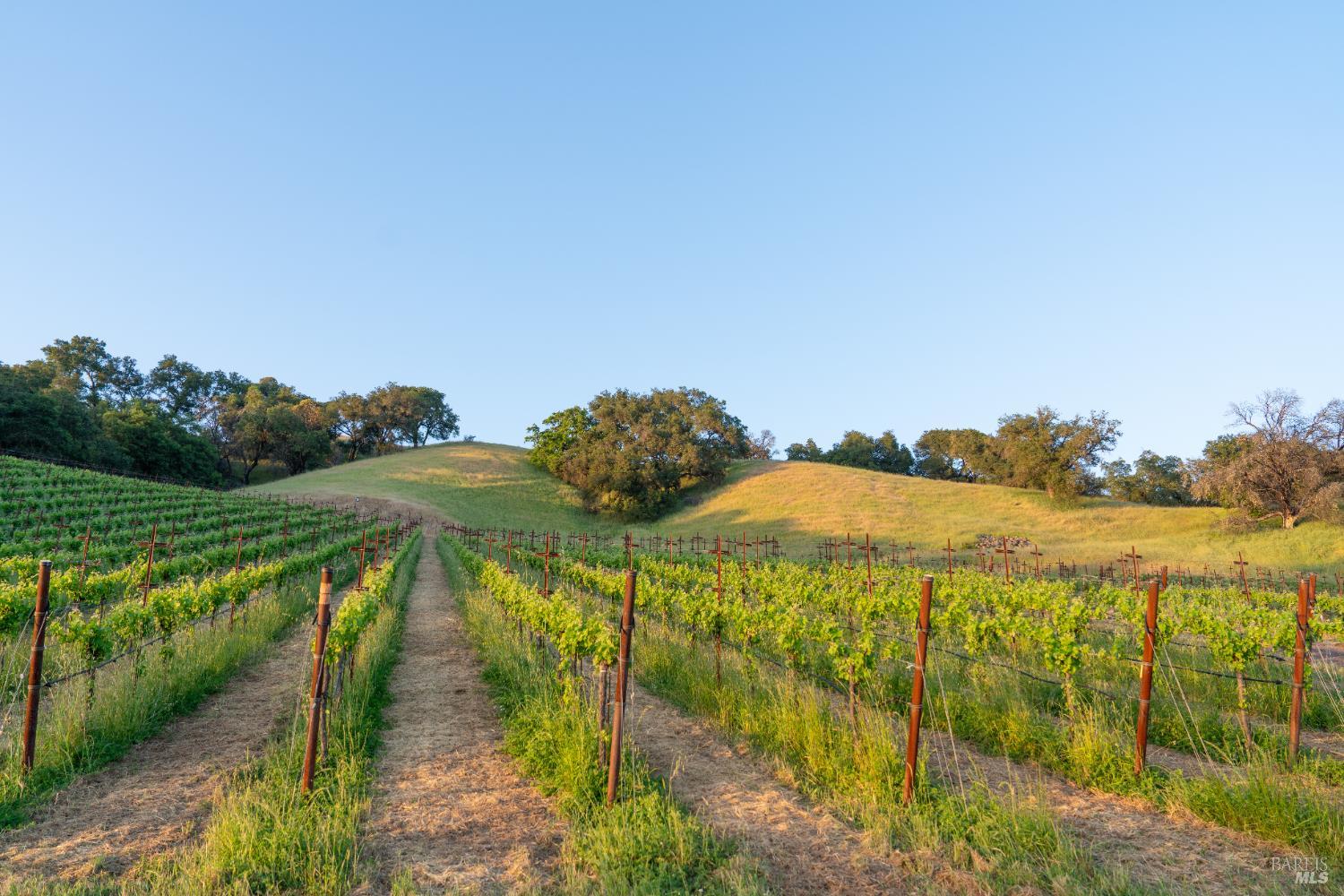 21350 River Road Geyserville CA 95441