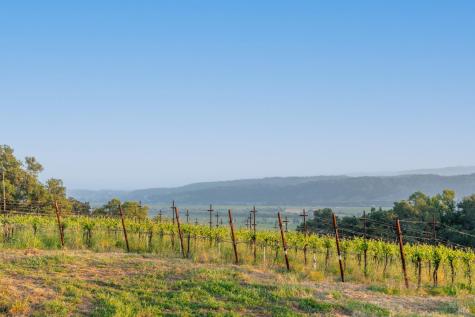 21350 River Road Geyserville CA 95441