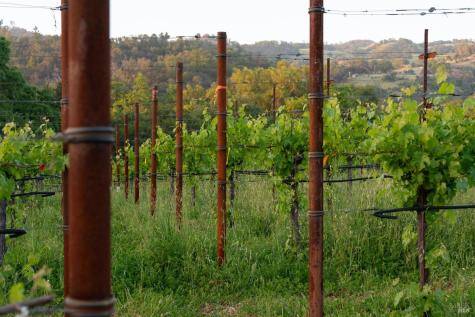 21350 River Road Geyserville CA 95441