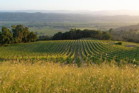 21350 River Road Geyserville CA 95441