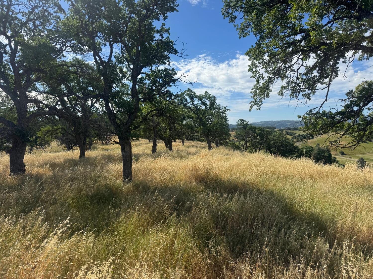 0 County Road 34 Winters CA 95694