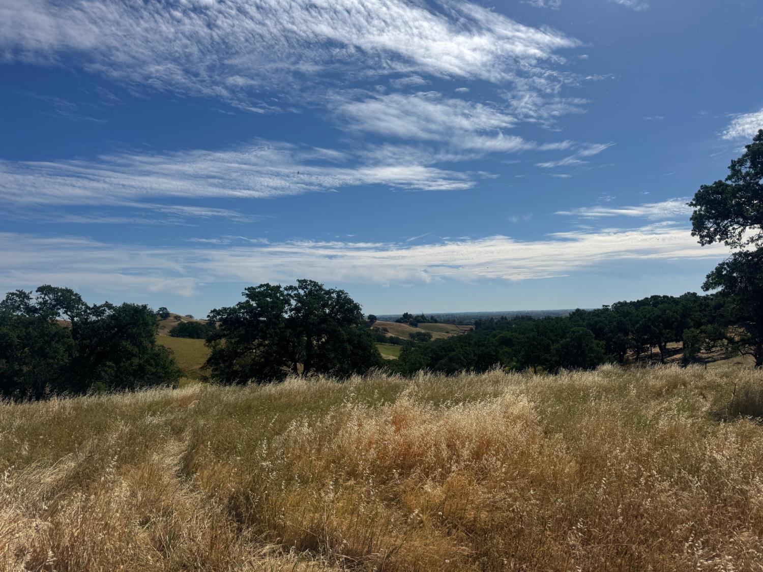 0 County Road 34 Winters CA 95694