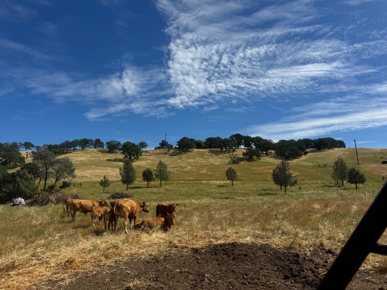 0 County Road 34 Winters CA 95694