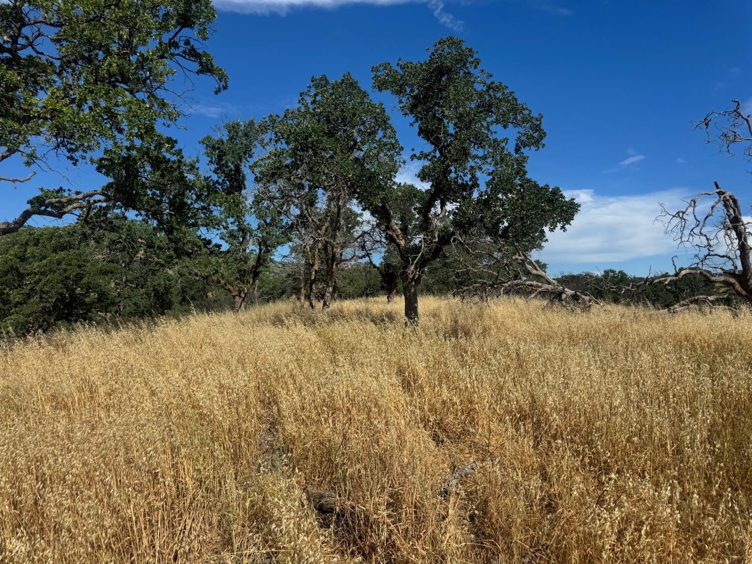 0 County Road 34 Winters CA 95694