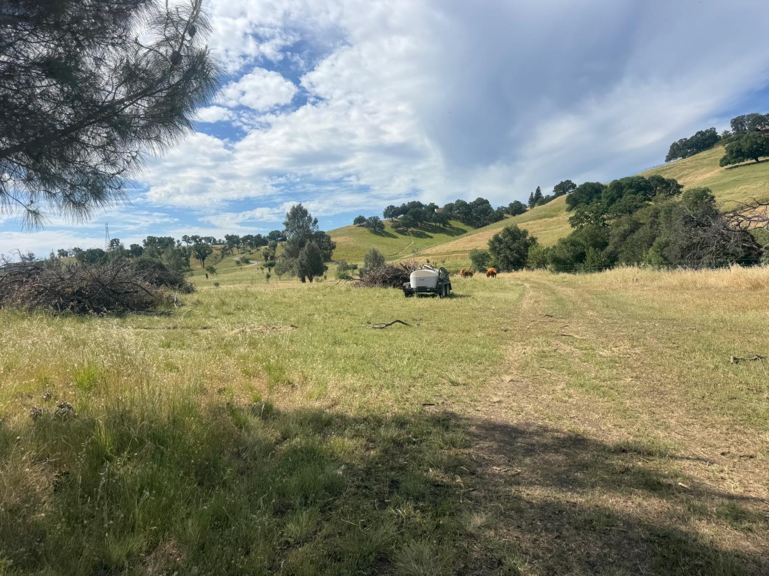 0 County Road 34 Winters CA 95694