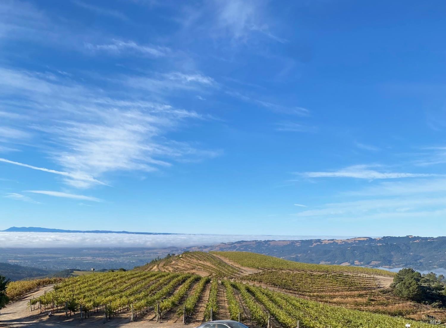 4420 Cavedale Road Glen Ellen CA 95442