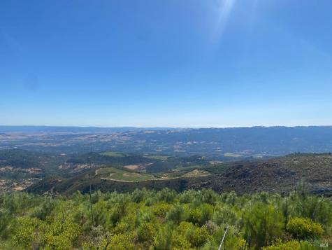 4420 Cavedale Road Glen Ellen CA 95442