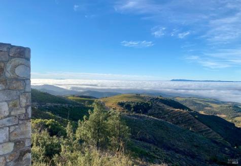 4420 Cavedale Road Glen Ellen CA 95442