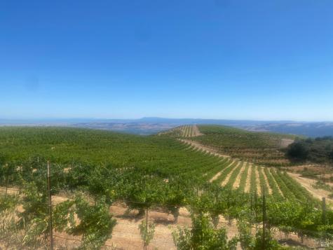 4420 Cavedale Road Glen Ellen CA 95442