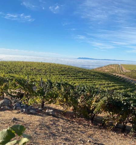 4420 Cavedale Road Glen Ellen CA 95442