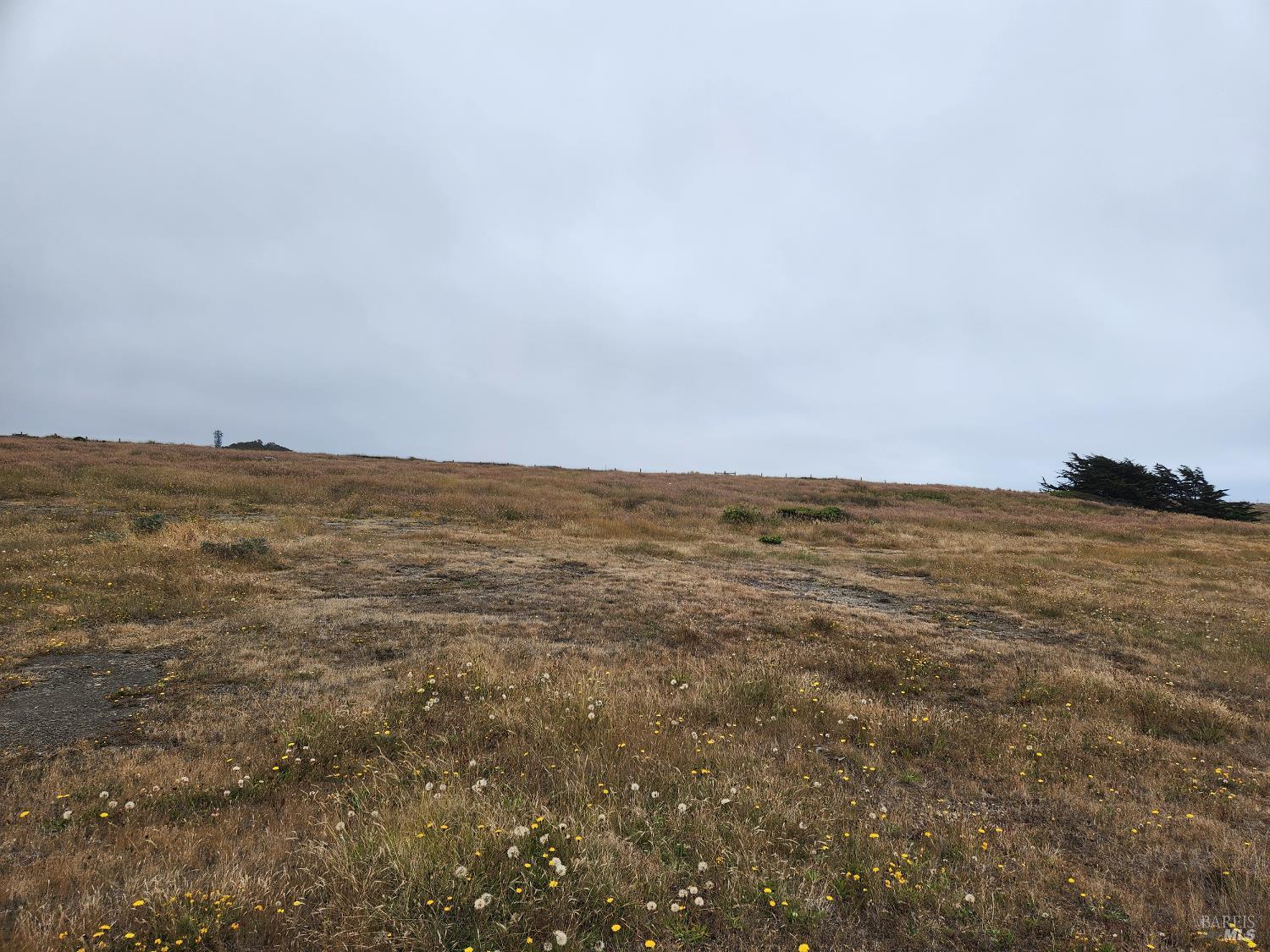 16200 S Highway 1 Manchester CA 95459
