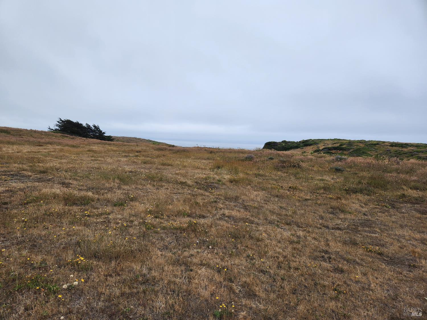 16200 S Highway 1 Manchester CA 95459