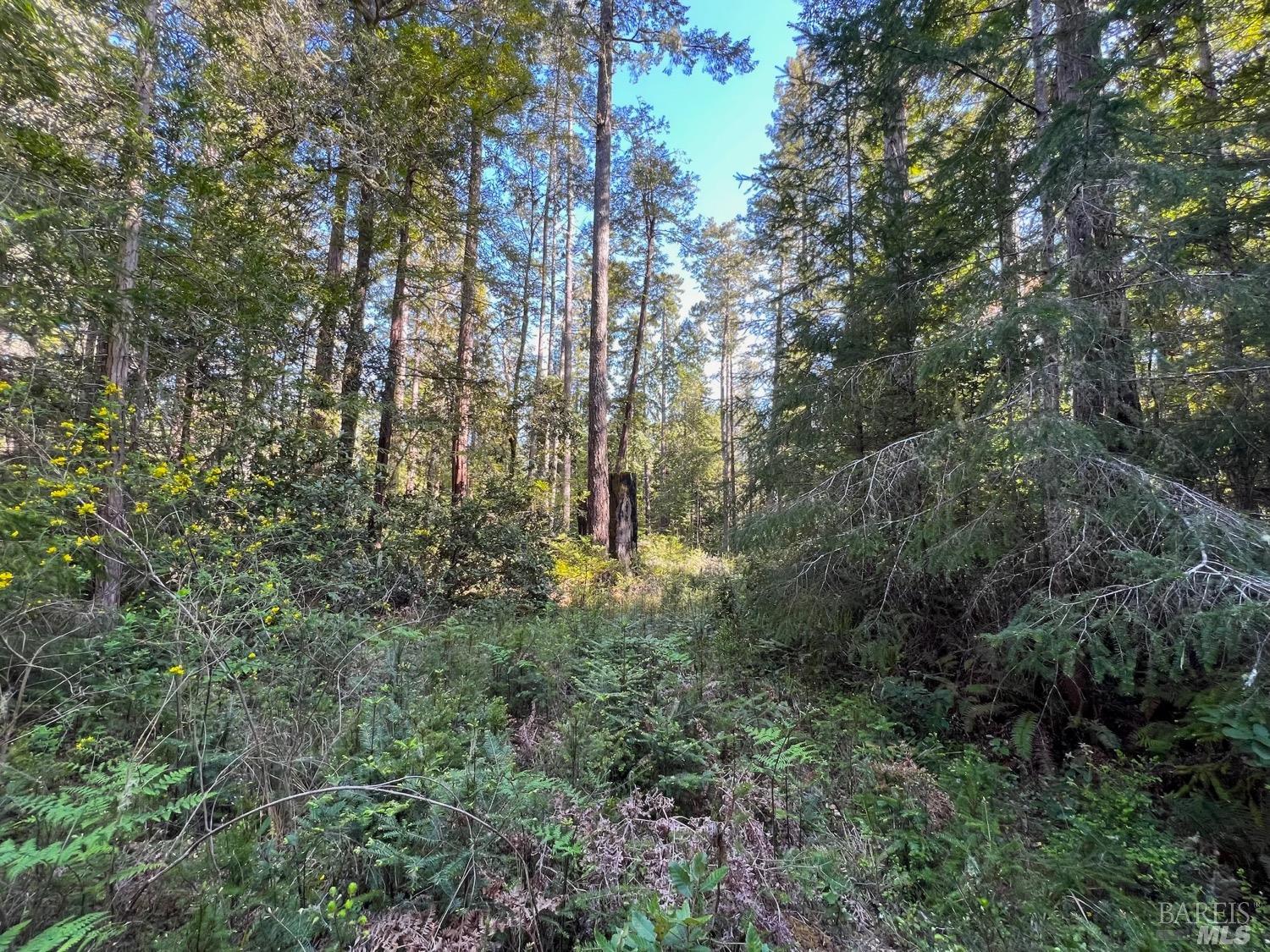 40410 Old Stage Road Gualala CA 95445