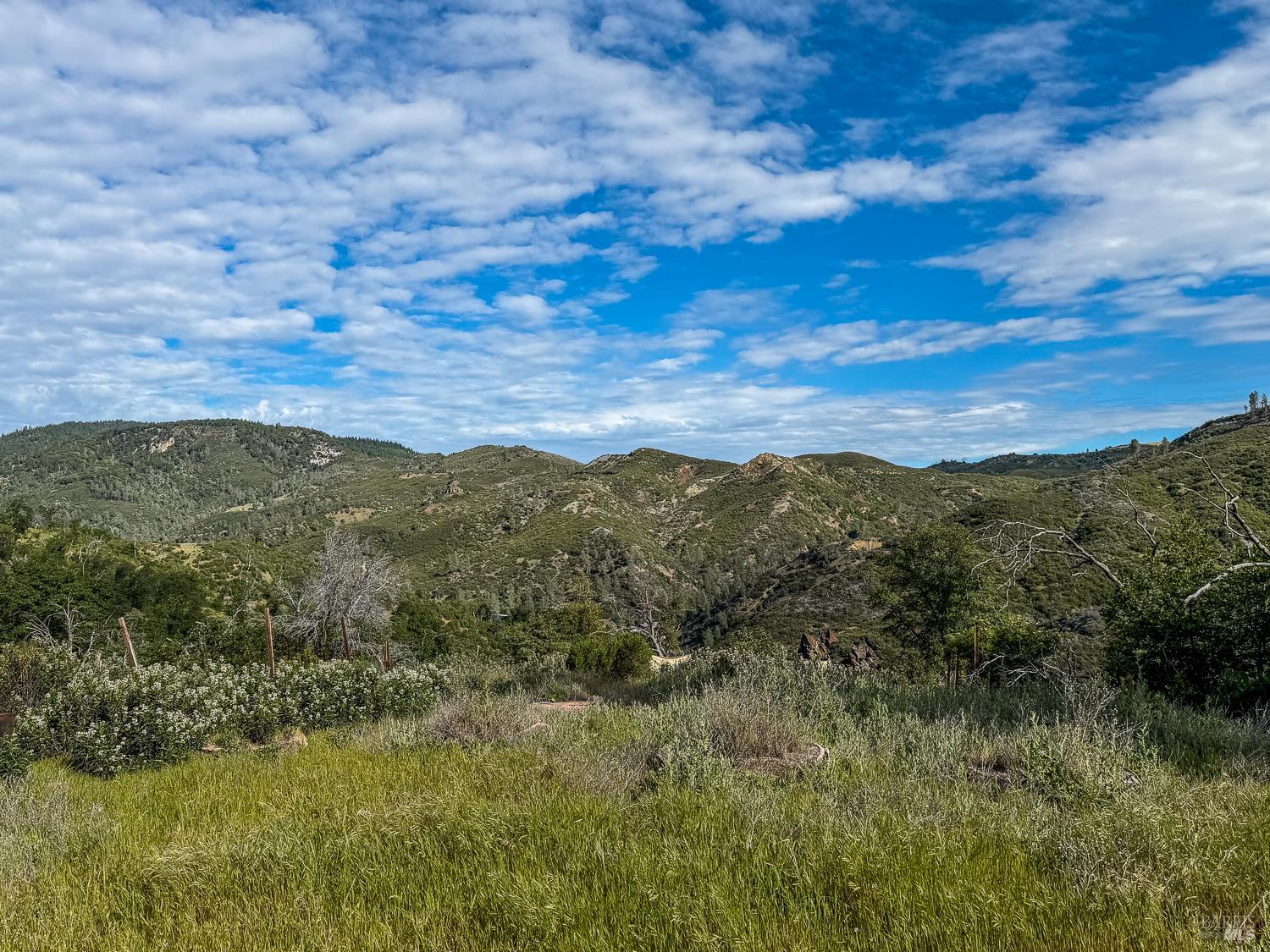 14515 Big Canyon Road Middletown CA 95461