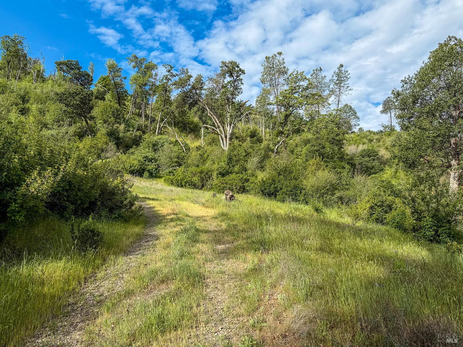 14515 Big Canyon Road Middletown CA 95461