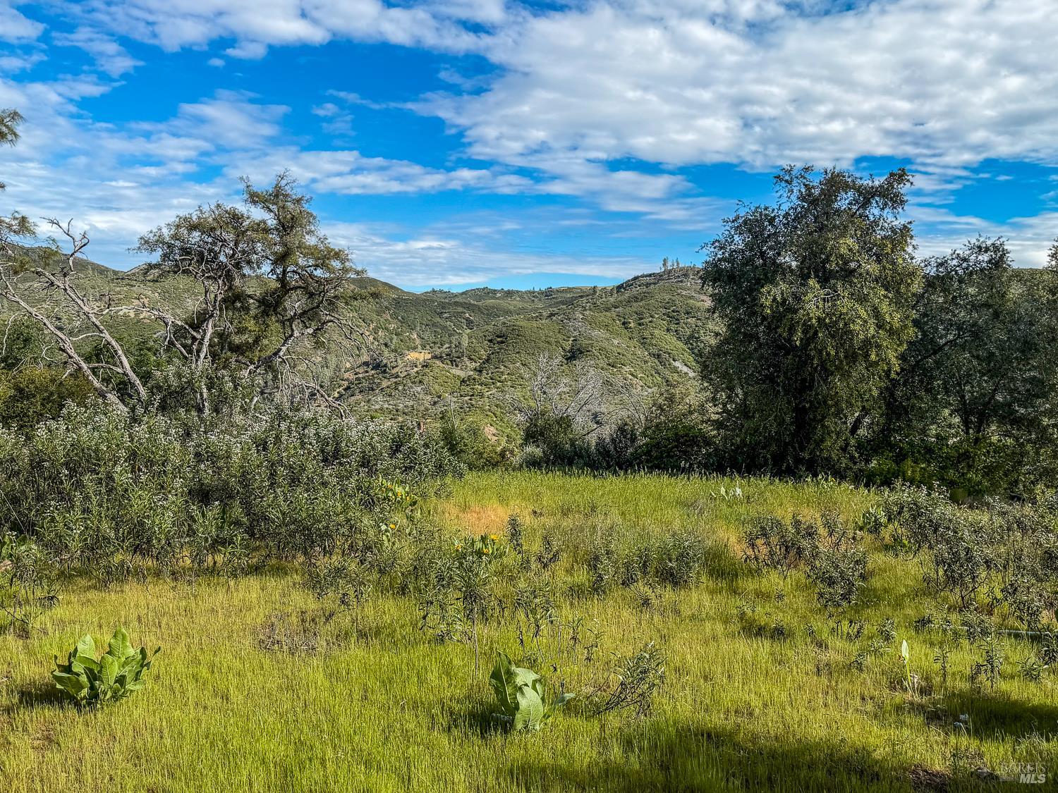 14515 Big Canyon Road Middletown CA 95461