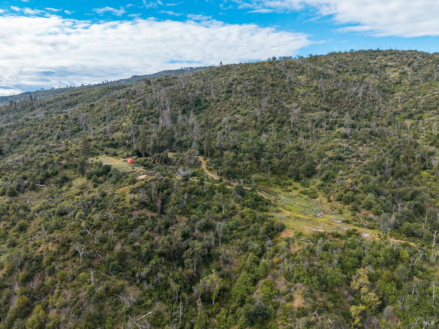 14515 Big Canyon Road Middletown CA 95461