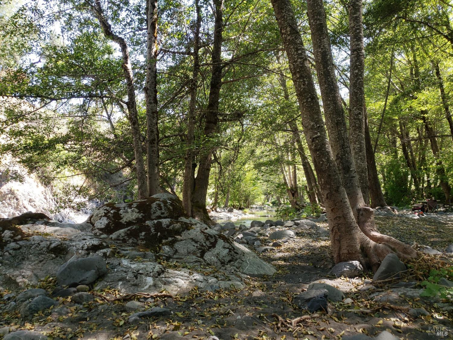 29890 Mendocino Pass Road Covelo CA 95428