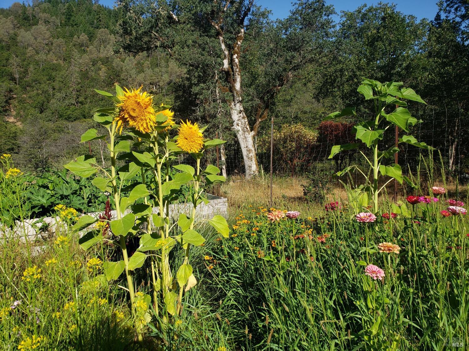 29890 Mendocino Pass Road Covelo CA 95428
