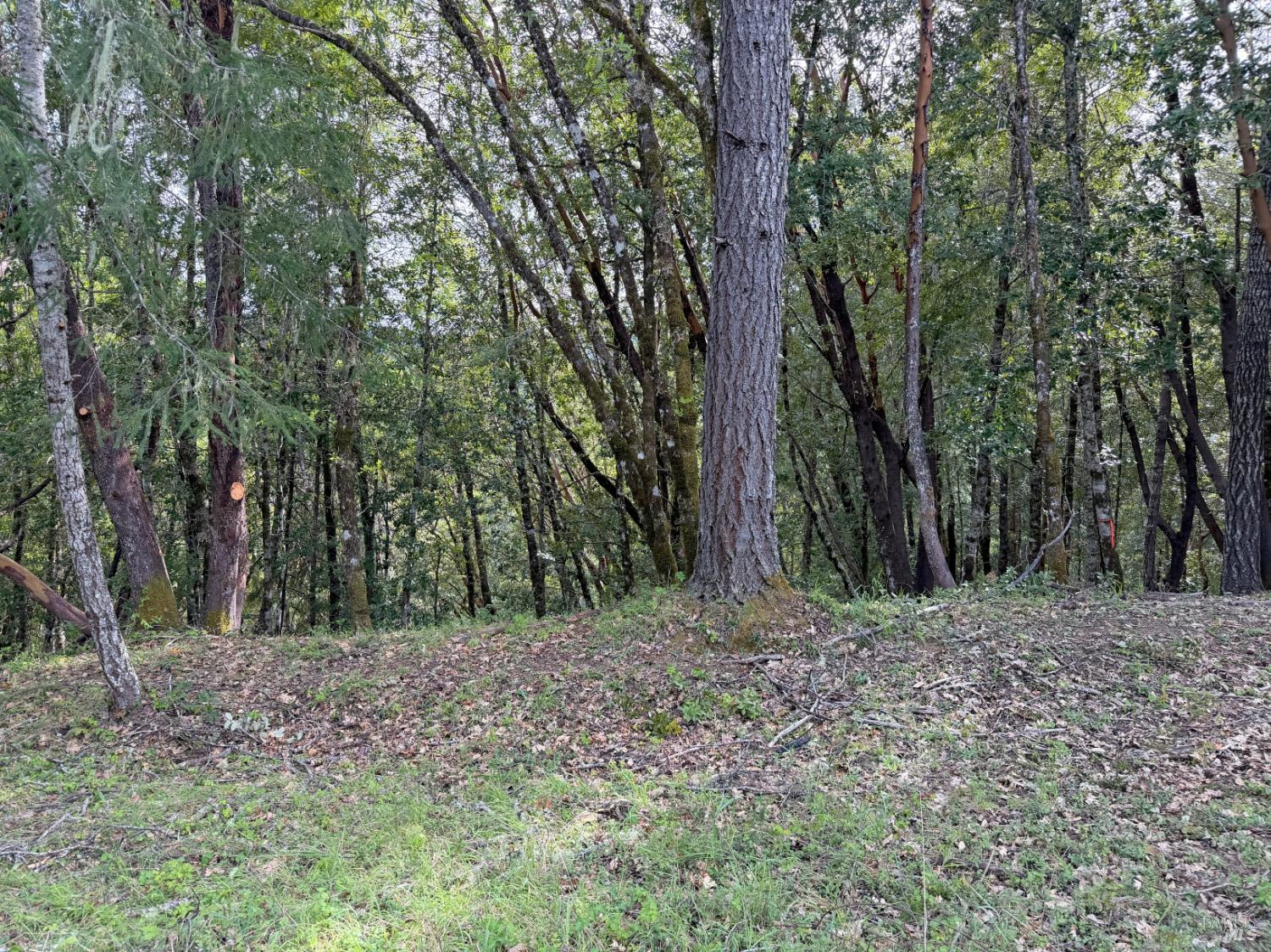 25380 Sherwood Road Willits CA 95490