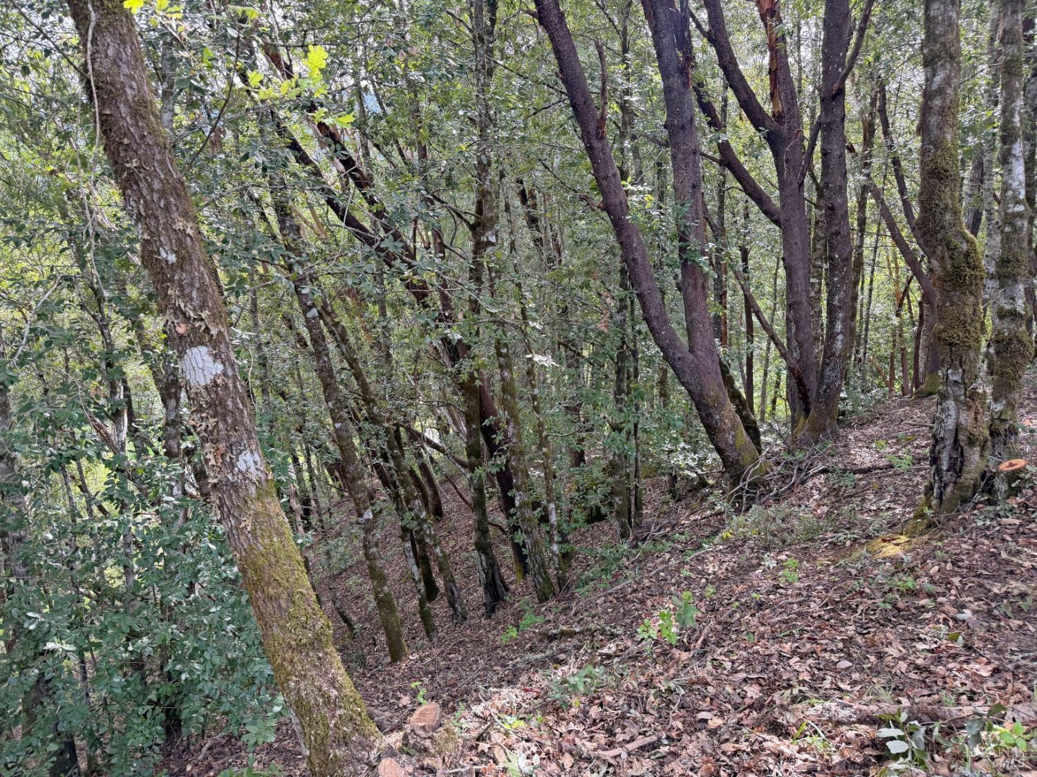 25380 Sherwood Road Willits CA 95490