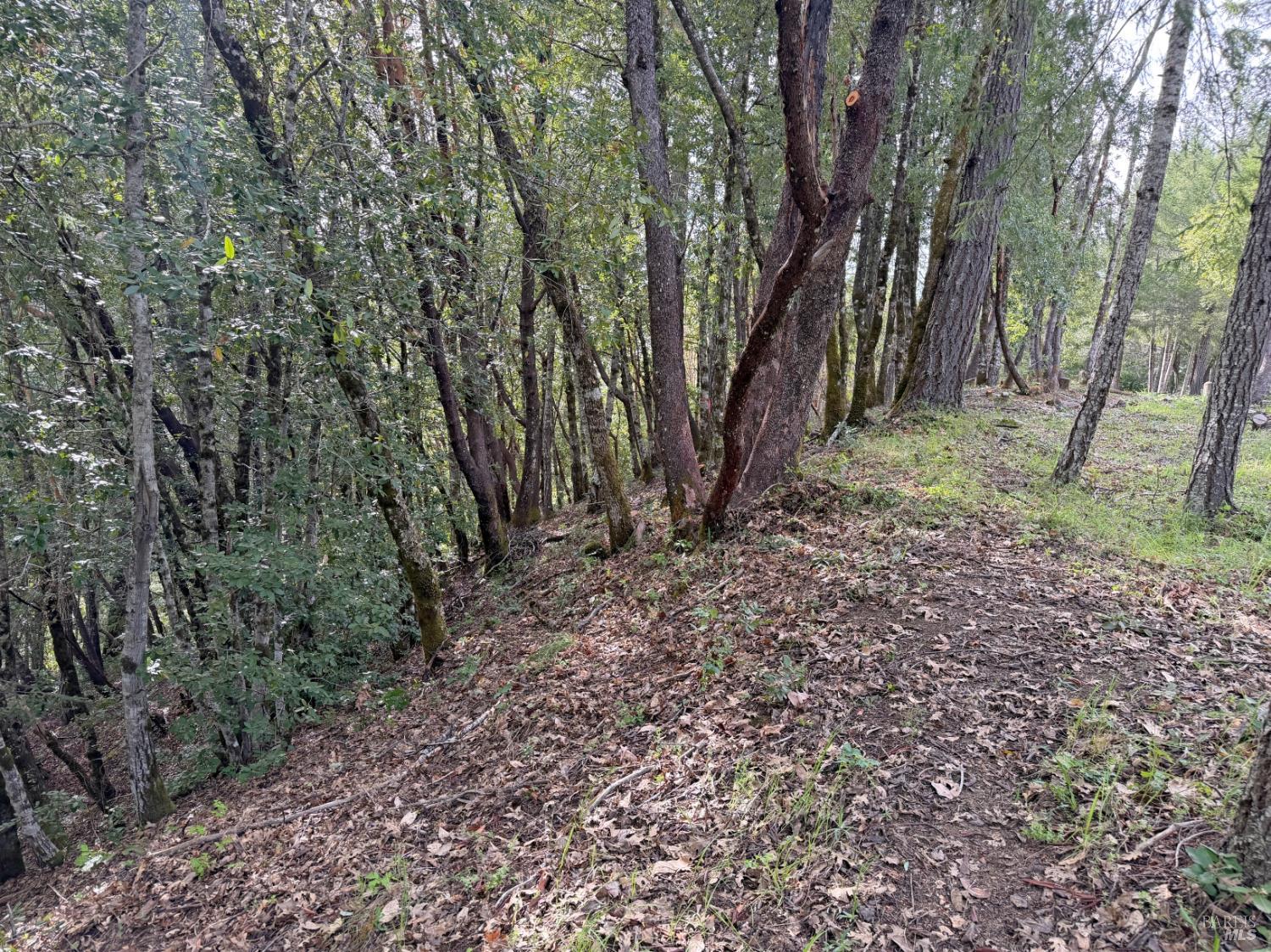 25380 Sherwood Road Willits CA 95490