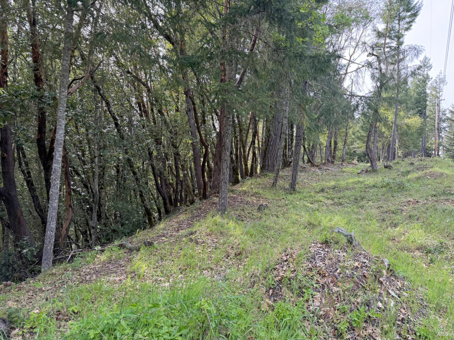 25380 Sherwood Road Willits CA 95490