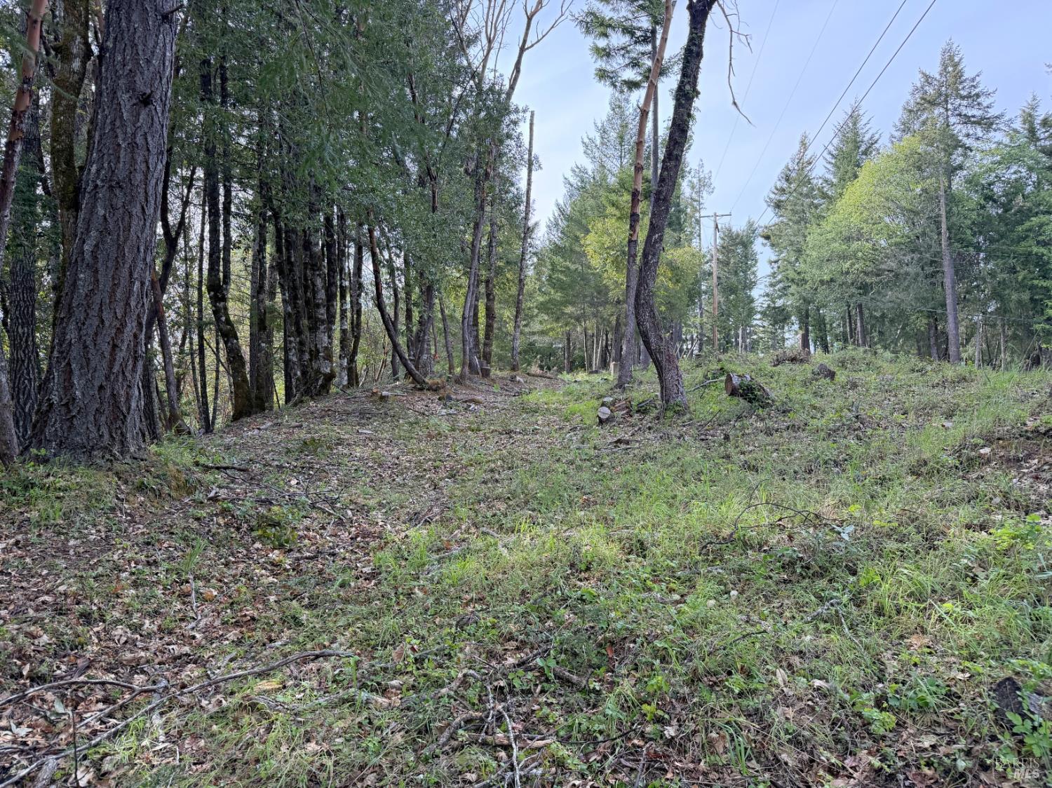 25380 Sherwood Road Willits CA 95490