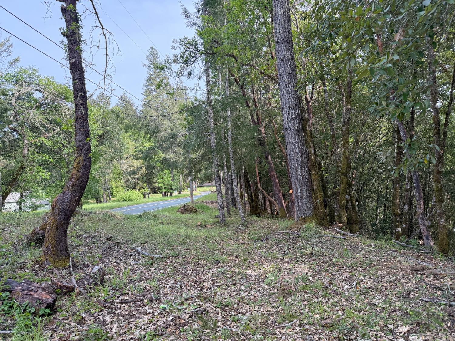 25380 Sherwood Road Willits CA 95490