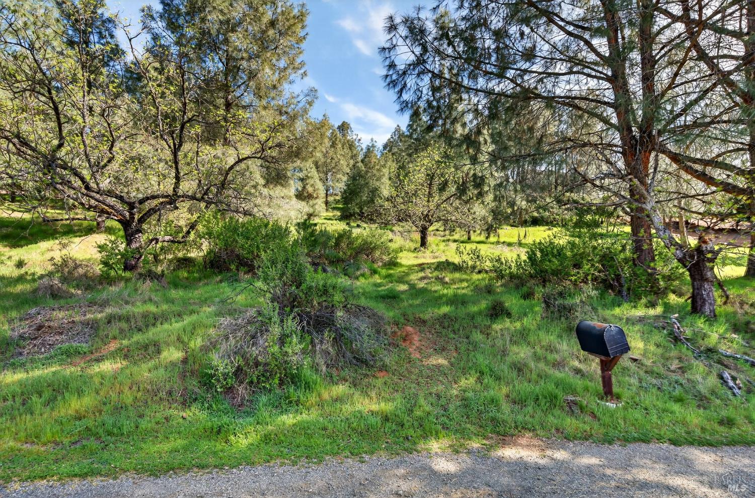 10312 Hok Has Ha Lane Kelseyville CA 95457