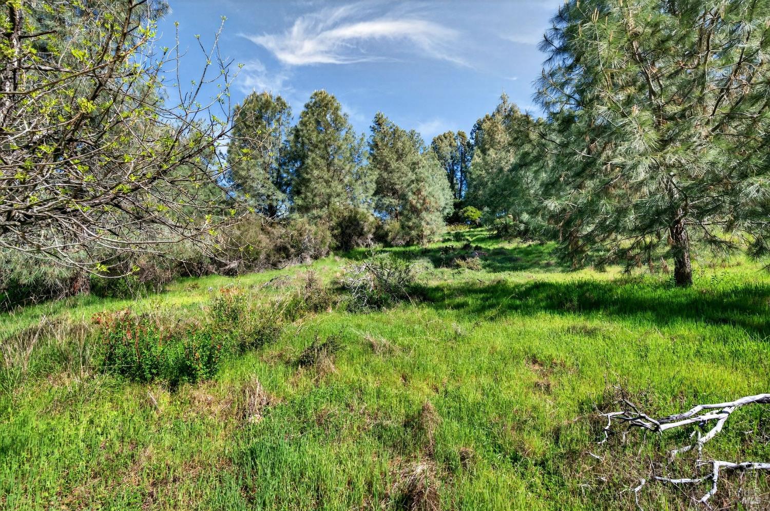 10312 Hok Has Ha Lane Kelseyville CA 95457