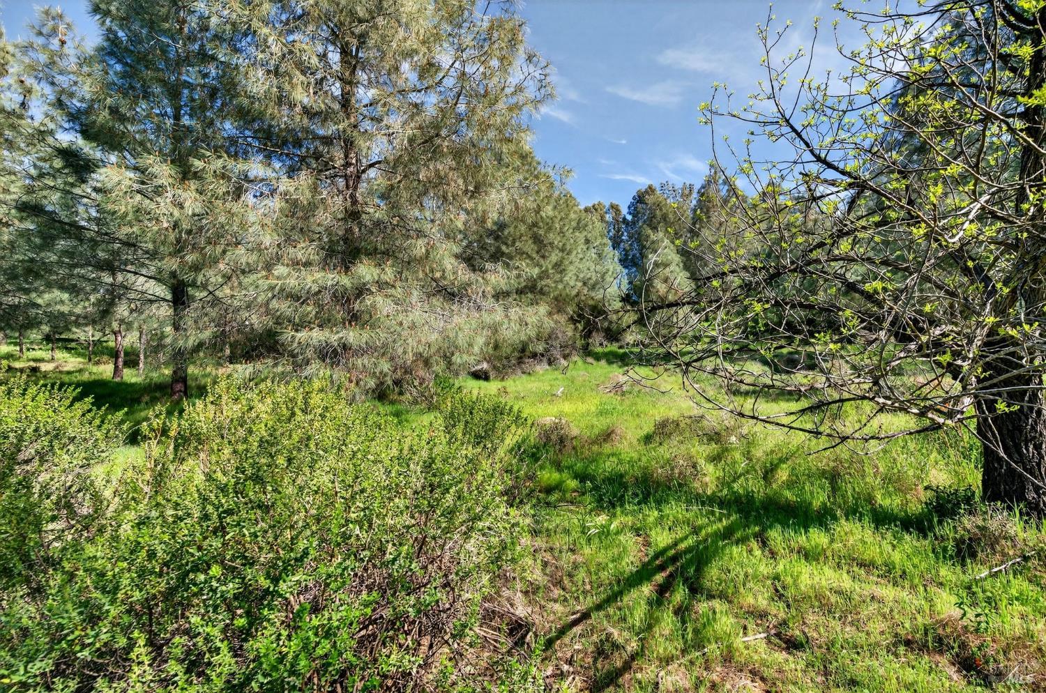 10312 Hok Has Ha Lane Kelseyville CA 95457