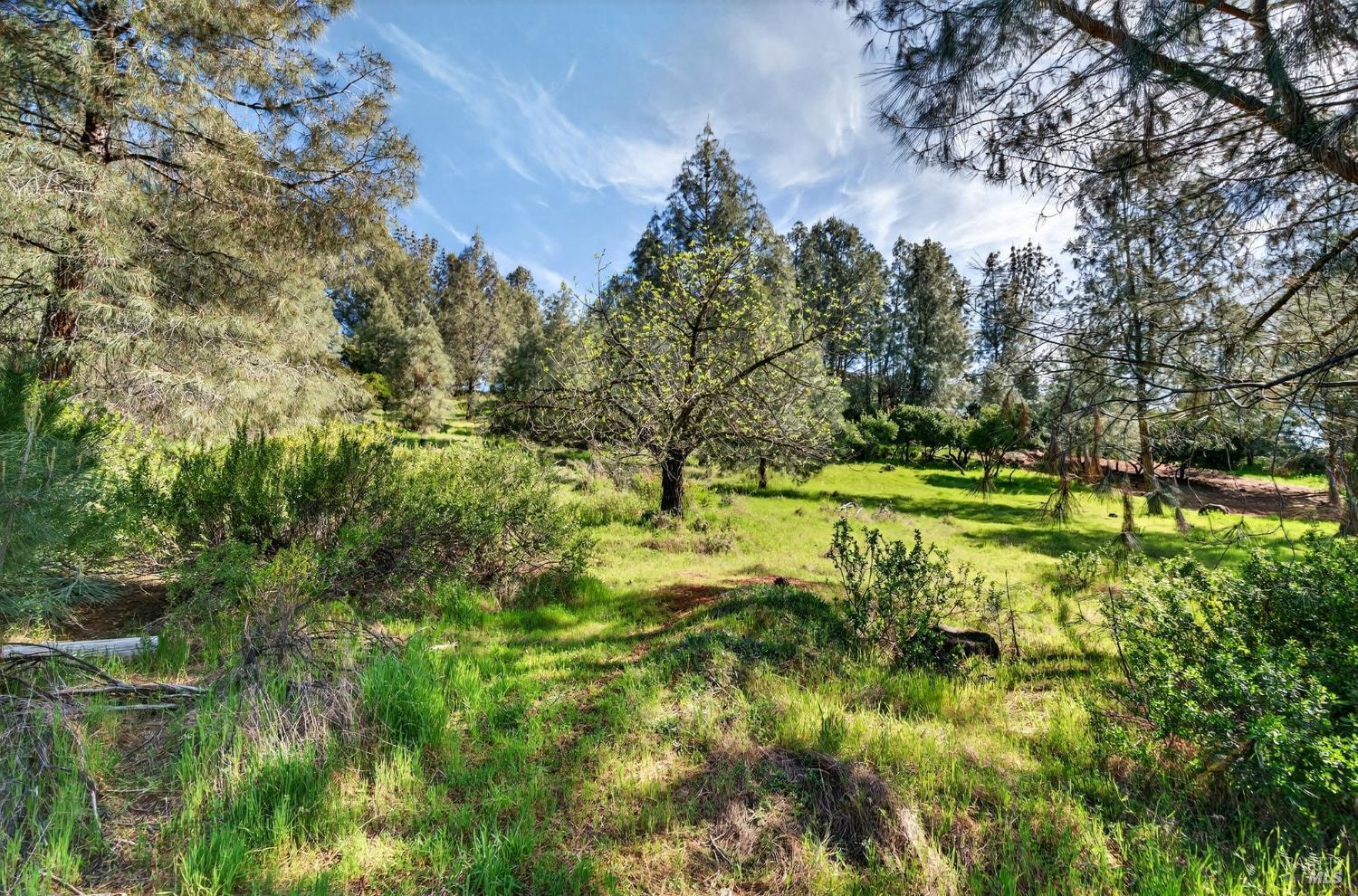 10312 Hok Has Ha Lane Kelseyville CA 95457