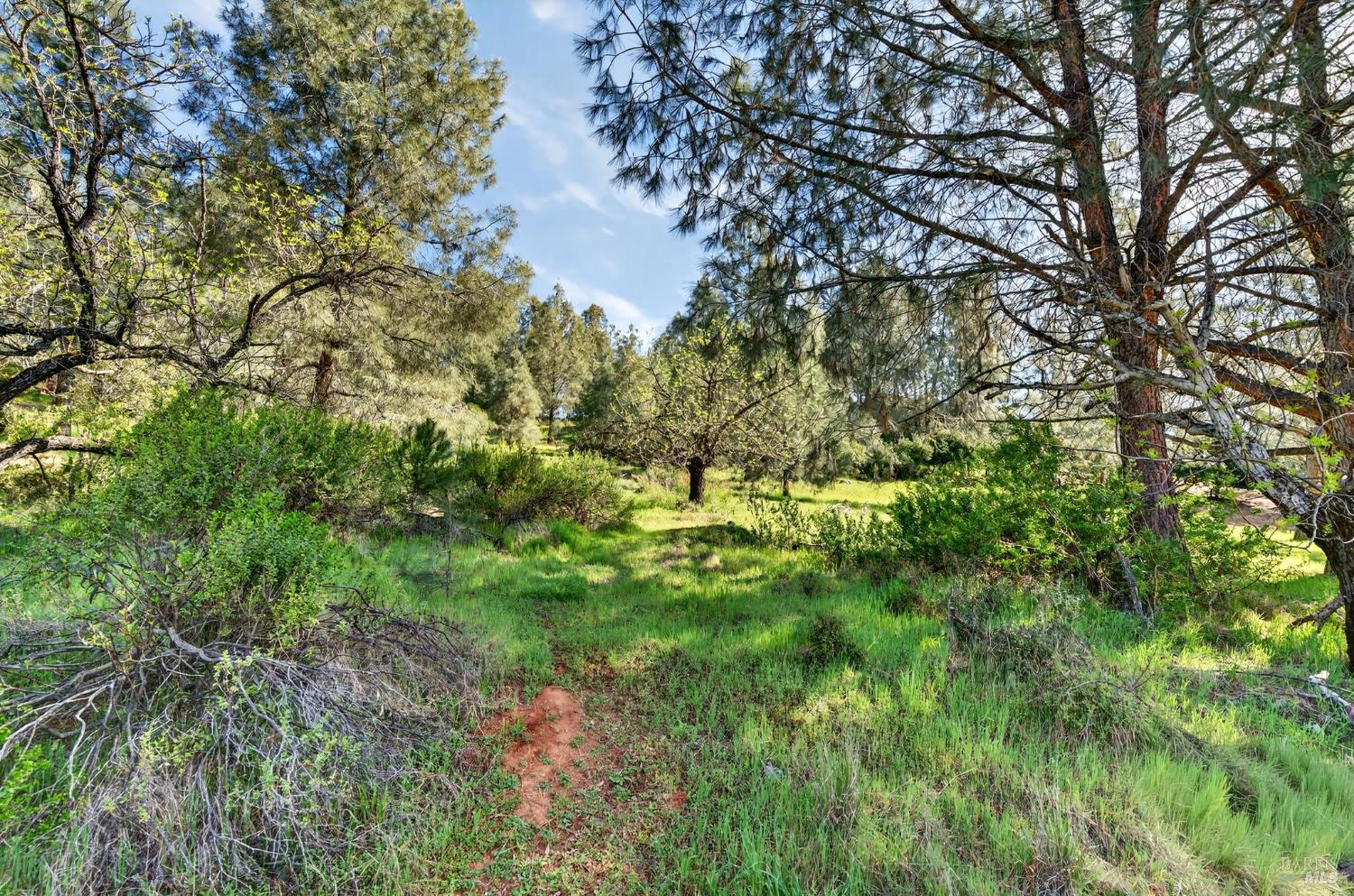 10312 Hok Has Ha Lane Kelseyville CA 95457