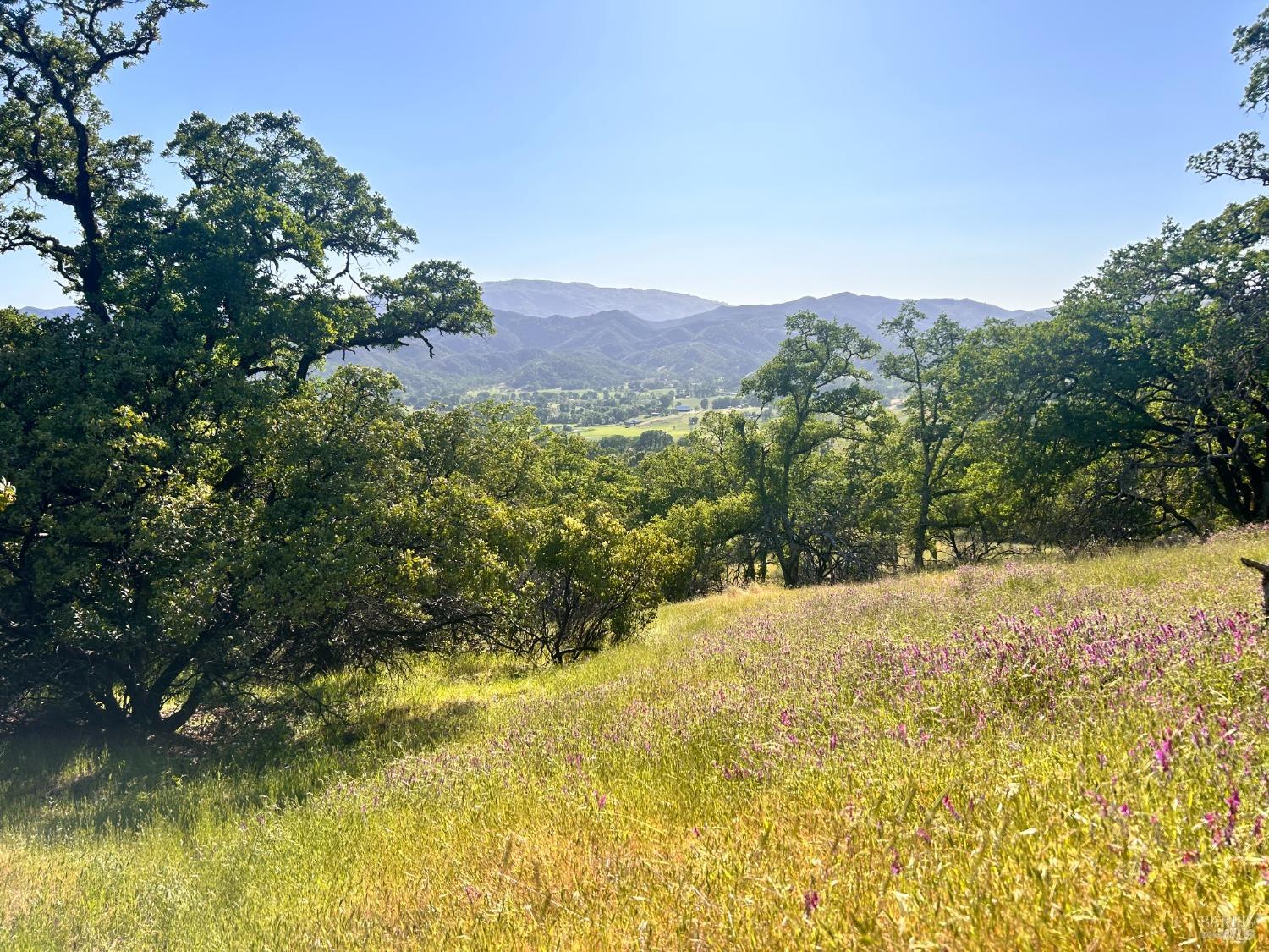 10504 Bachelor Valley Road Upper Lake CA 95493