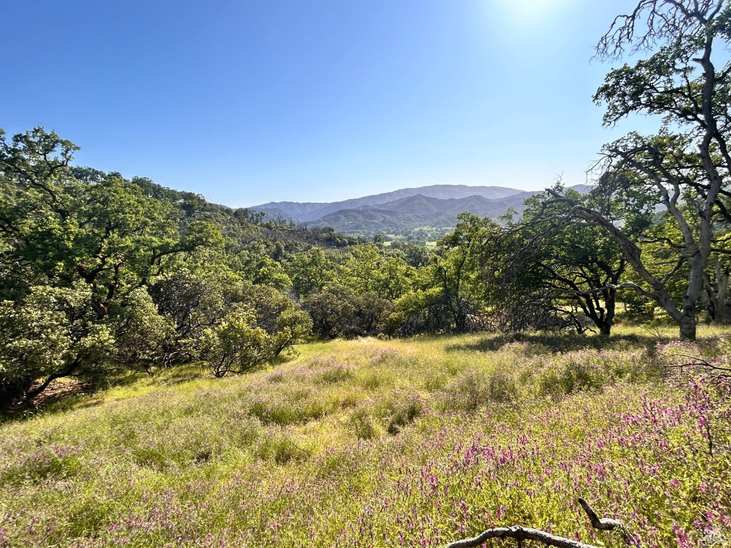 10504 Bachelor Valley Road Upper Lake CA 95493