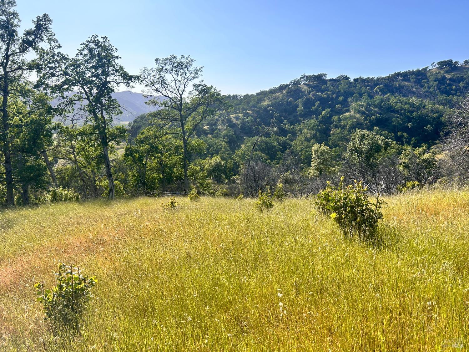 10504 Bachelor Valley Road Upper Lake CA 95493
