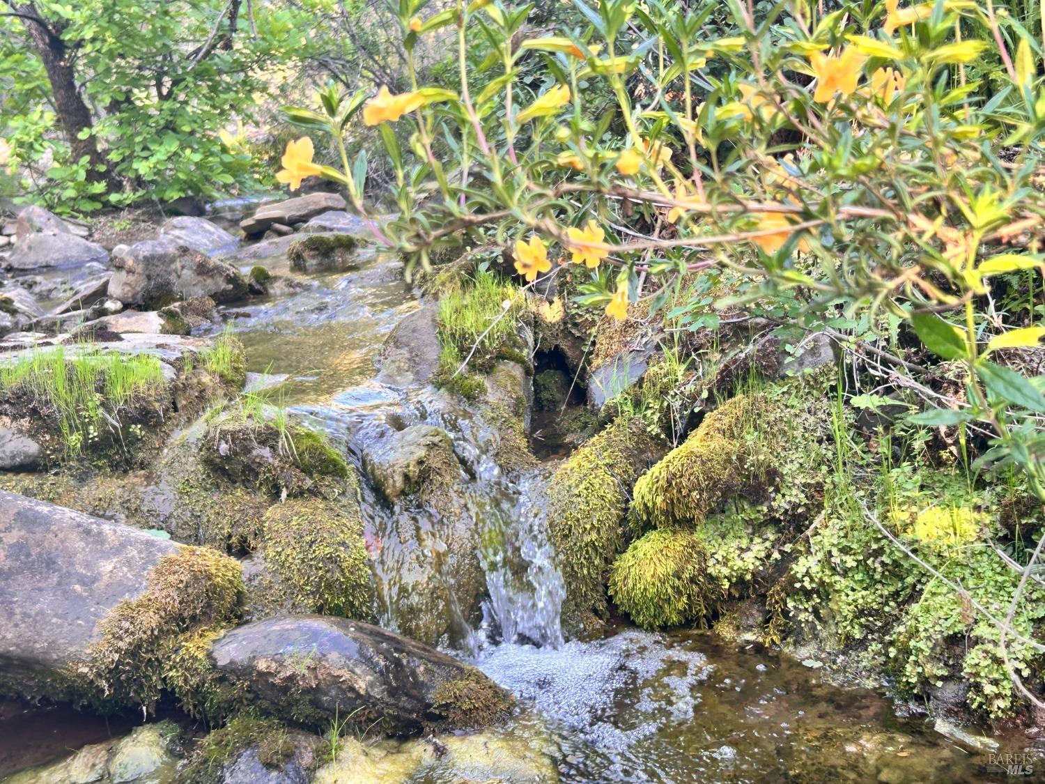 10504 Bachelor Valley Road Upper Lake CA 95493
