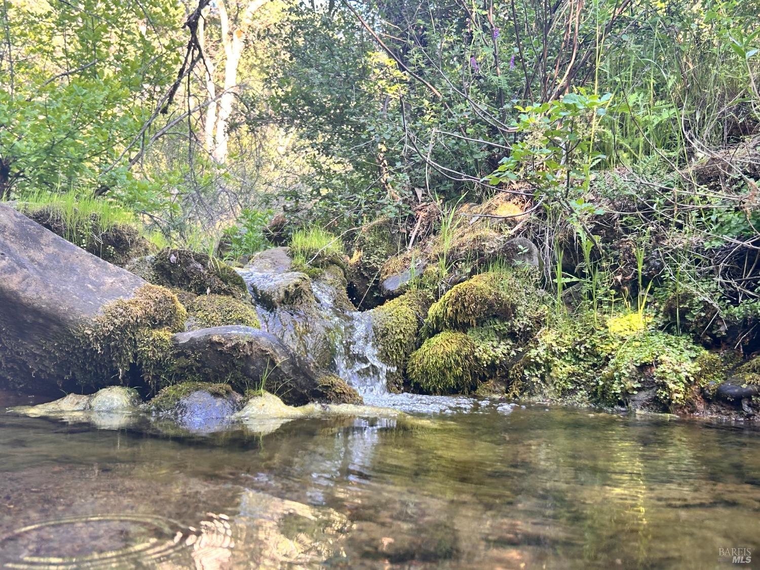 10504 Bachelor Valley Road Upper Lake CA 95493
