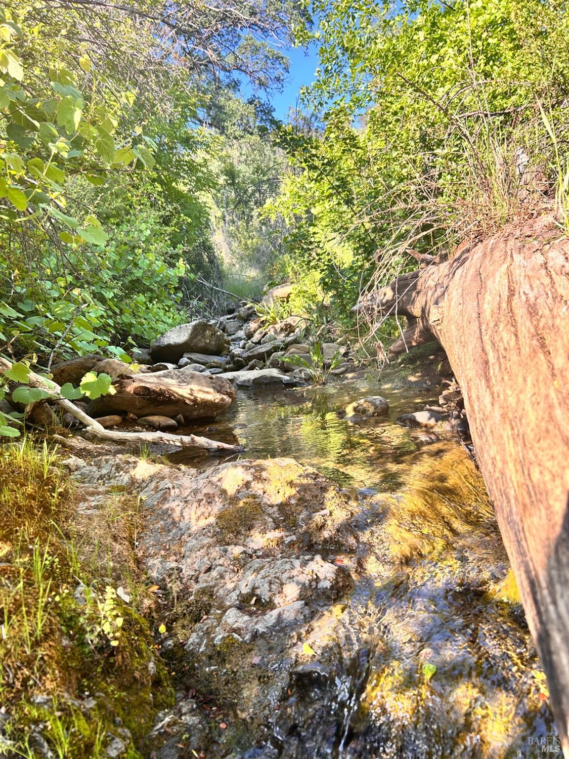 10504 Bachelor Valley Road Upper Lake CA 95493