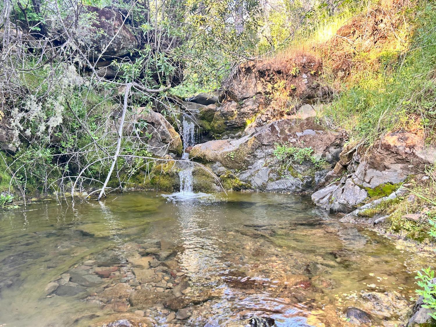 10504 Bachelor Valley Road Upper Lake CA 95493