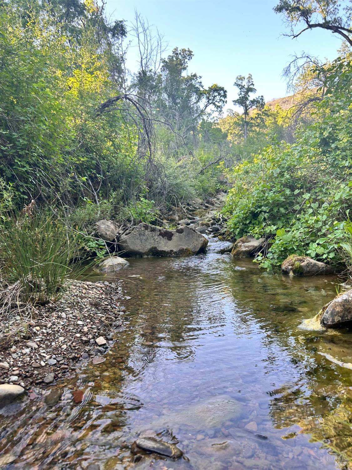 10504 Bachelor Valley Road Upper Lake CA 95493